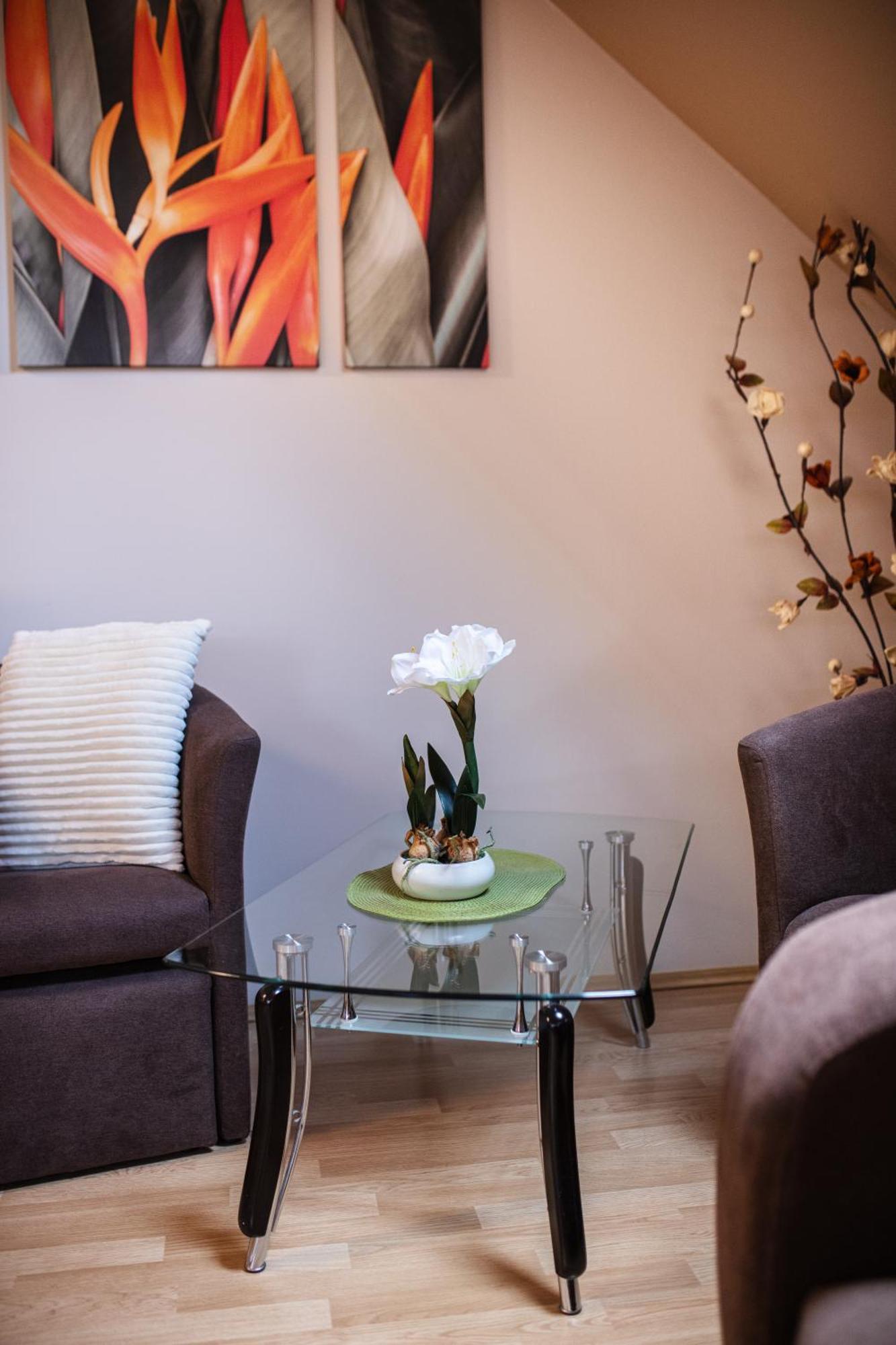Delfin Apartman シャールヴァール エクステリア 写真